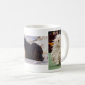 TASSE DE CHIEN DE PULI (Devant droit)