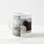 TASSE DE CHIEN DE PULI (Devant gauche)