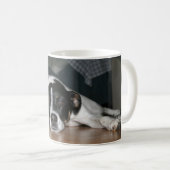 Tasse de chien de Rat terrier de "Molli" (Devant droit)