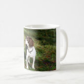 Tasse de chien de springer spaniel (Devant droit)