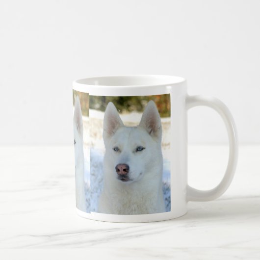 Tasse de chien de traîneau sibérien (Droite)