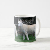 Tasse de chien de traîneau sibérien (Devant droit)