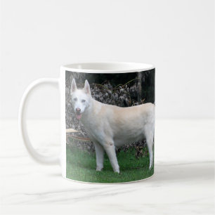 Tasse de chien de traîneau sibérien