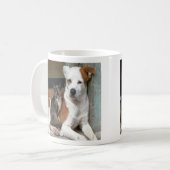 Tasse de chien et de chat (Devant gauche)