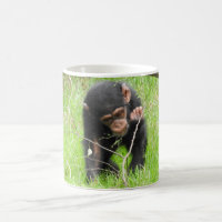 Tasse de chimpanzé de bébé