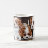 tasse de chiot (Centre)