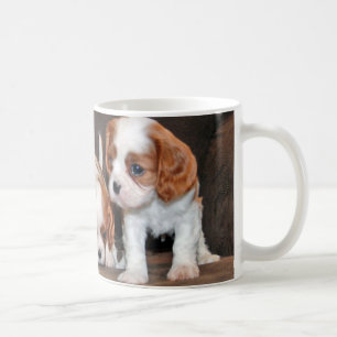 tasse de chiot