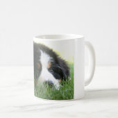 Tasse de chiot de Bernese (Devant droit)