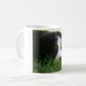 Tasse de chiot de Bernese (Devant gauche)