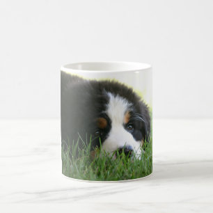 Tasse de chiot de Bernese