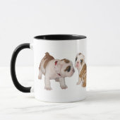 tasse de chiot de bouledogue (Gauche)
