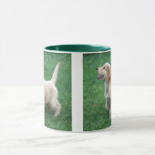 Tasse de chiot de golden retriever (Centre)