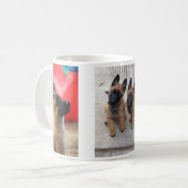 Tasse de chiot de Malinois de Belge (Devant gauche)