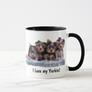 Tasse de chiot de Yorkshire Terrier