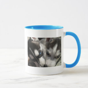 Tasse de chiots de chien de traîneau sibérien