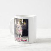 Tasse de chiwawa (Devant gauche)