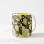 Tasse de citrons (Devant droit)