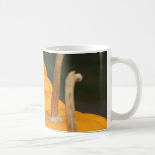 Tasse de citrouille (Droite)