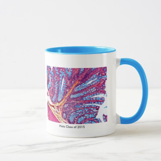 tasse de classe de histo (Droite)
