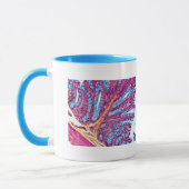 tasse de classe de histo (Gauche)
