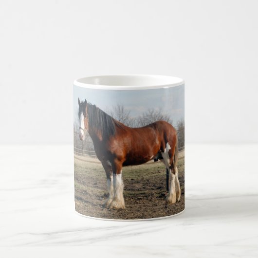 Tasse de Clydesdale (Centre)