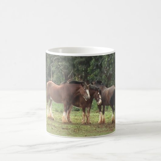Tasse de Clydesdales (Centre)
