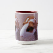 Tasse de cobaye (Centre)