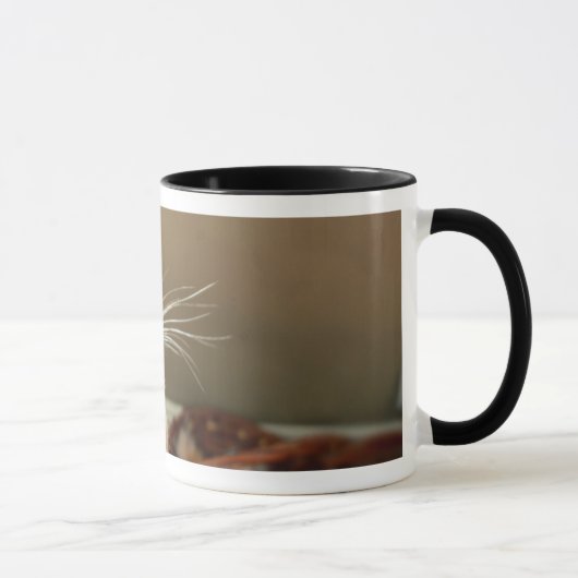 Tasse de coccinelle (Droite)