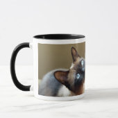 Tasse de coccinelle (Gauche)