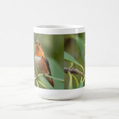 Tasse de colibri (Centre)