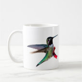 tasse de colibri - conceptions C et D (Gauche)