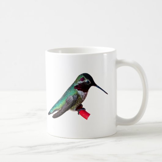 tasse de colibri - conceptions C et D (Droite)