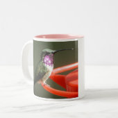 Tasse de colibri de Lucifer, gauche-manipulée (Devant gauche)