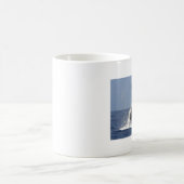 Tasse de Coofee de baleine de bosse (Centre)