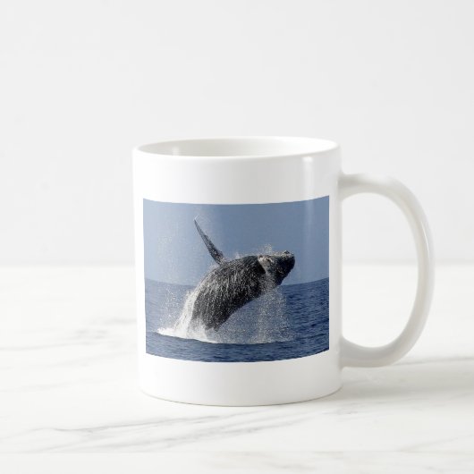 Tasse de Coofee de baleine de bosse (Droite)