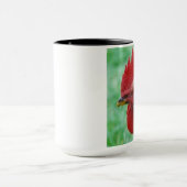 TASSE DE COQ (Centre)