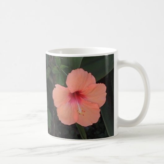 Tasse de corail de ketmie (Droite)