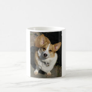 Tasse de corgi de Gallois de Pembroke