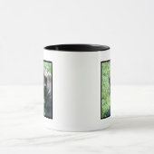 Tasse de corso de canne (Centre)