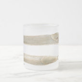 Tasse de couleur pour aquarelle de columbianus (Centre)