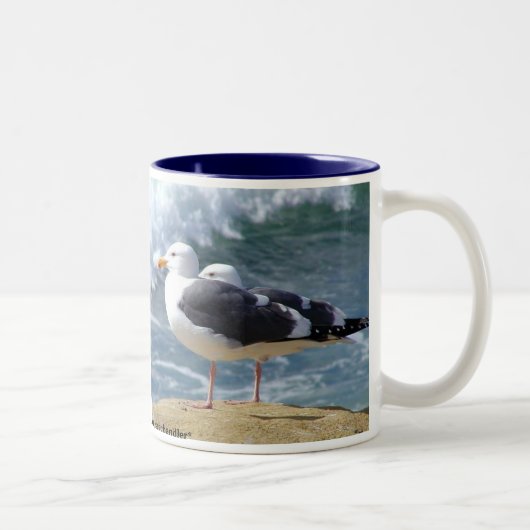 Tasse de coupure de plage de mouette (Droit)