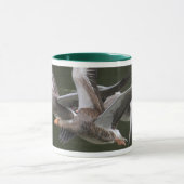 Tasse de course de Greylag (Centre)