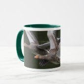 Tasse de course de Greylag (Devant gauche)