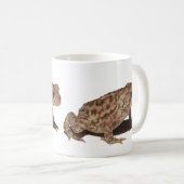 Tasse de crapaud américain (Devant droit)