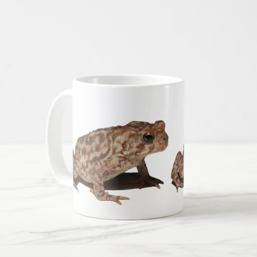Tasse de crapaud américain (Devant gauche)