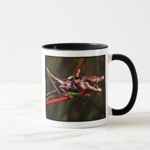 Tasse de Crocket