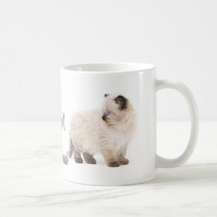 Tasse de croquis de chaton de Ragdoll