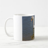 Tasse de cygne (Gauche)