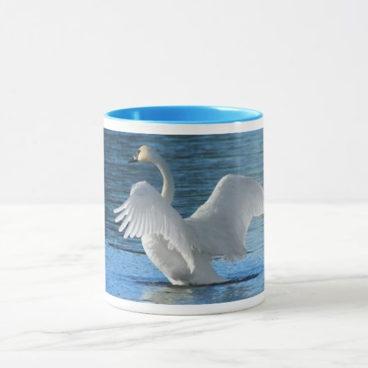 Tasse de cygne de trompettiste (Centre)