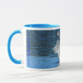 Tasse de cygne de trompettiste (Gauche)